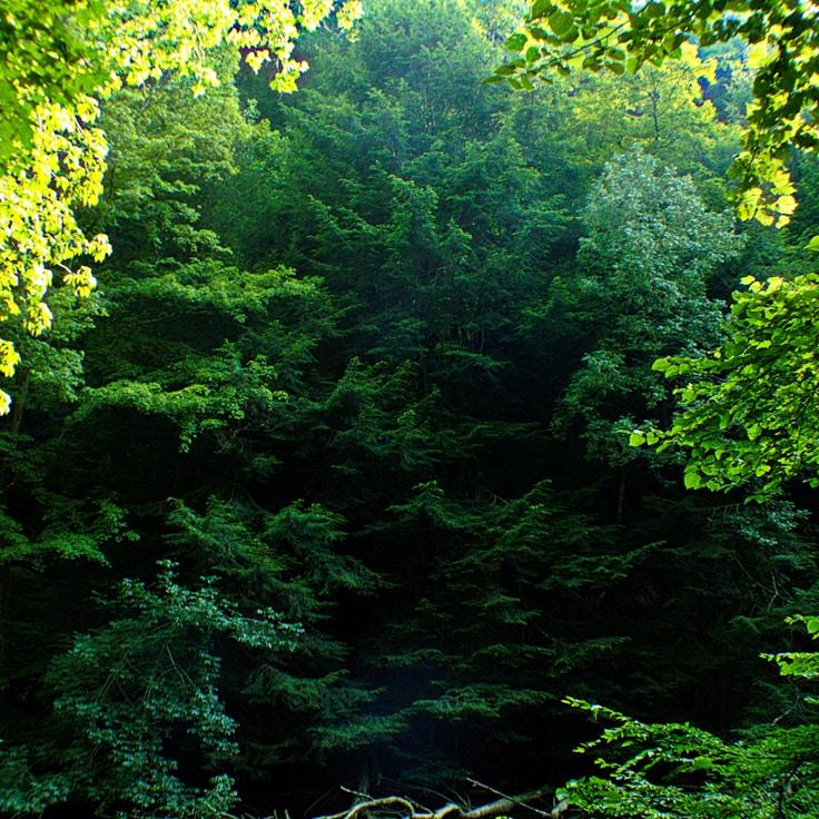 Nature travel hero image